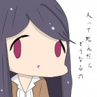 カイセー